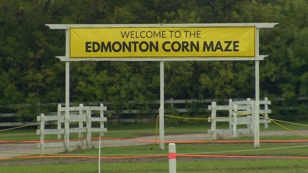 Accused in Edmonton Corn Maze killing found not criminally responsible in previous cases | CBC News