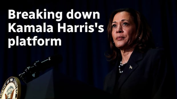 ANALYSIS | Harris's debut campaign interview: Spring cleaning for her political resumé | CBC News