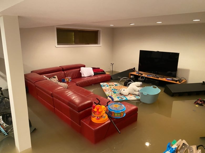 ANALYSIS | Quebec's premier said flooding compensation should be expanded. What's actually happening? | CBC News