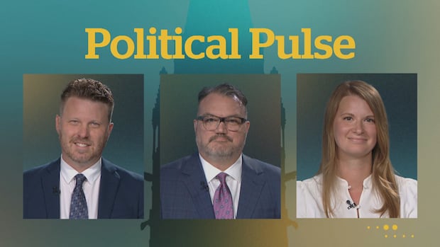 ANALYSIS | The issue isn't the carbon tax — it's climate change | CBC News