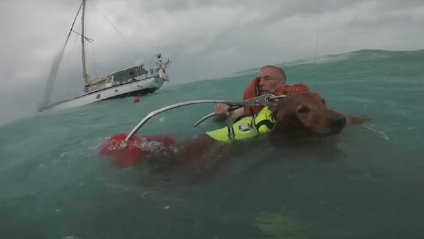 At least 6 killed as Helene speeds up U.S. Southeast after landing as Category 4 hurricane | CBC News