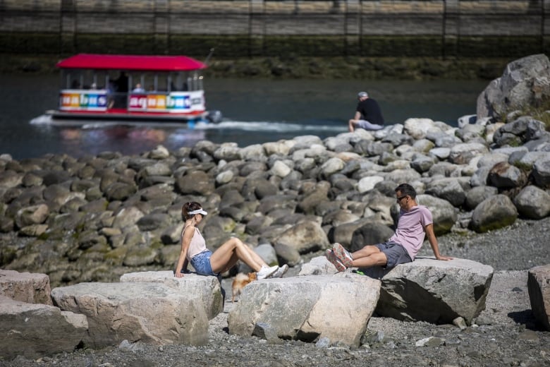 Cities are overheating. How do we cool them down? | CBC Radio