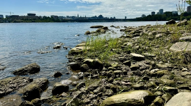 Climate change, eroding shorelines and the race against time to save Indigenous history | CBC News
