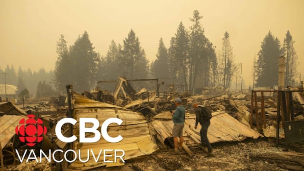 FIRST PERSON | I'm a therapist. In helping people deal with their climate anxiety, I'm learning to manage my own | CBC News