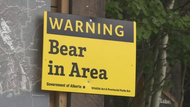 Hiker in hospital after bear attack in Crowsnest Pass | CBC News