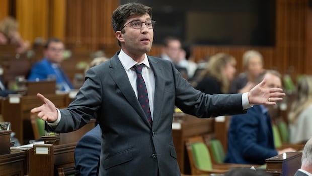 'I wasn't thinking about sex': MP responds to claim that he made homophobic comment | CBC News