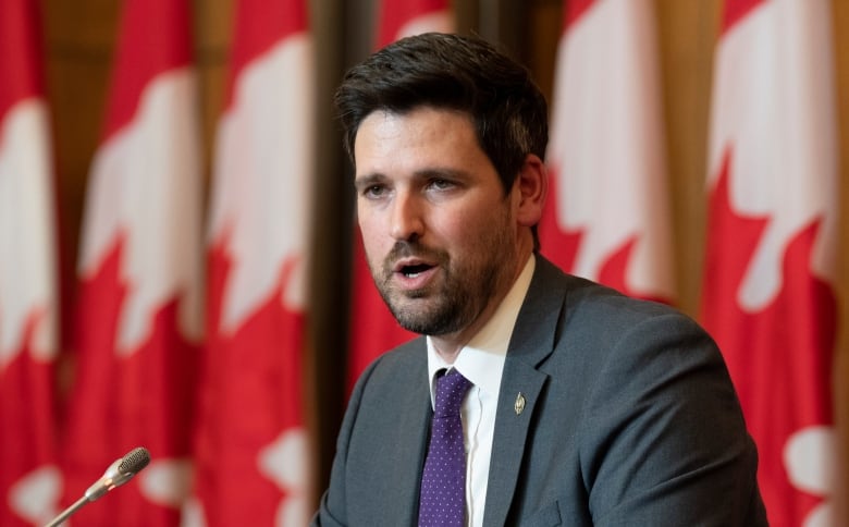 IRCC stopped assigning immigration applications to inactive officers' IDs after CBC report | CBC News