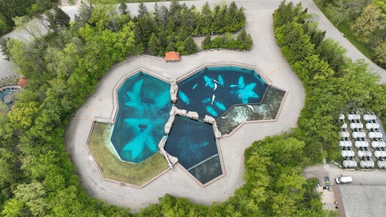 Marineland owner Marie Holer dies — unclear who will now lead controversial park | CBC News