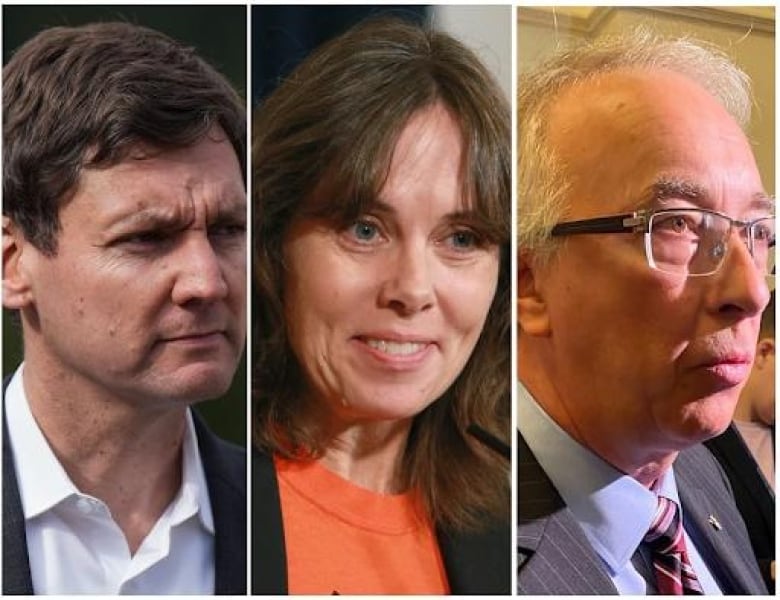 Official election campaign period begins in B.C. as writs issued | CBC News