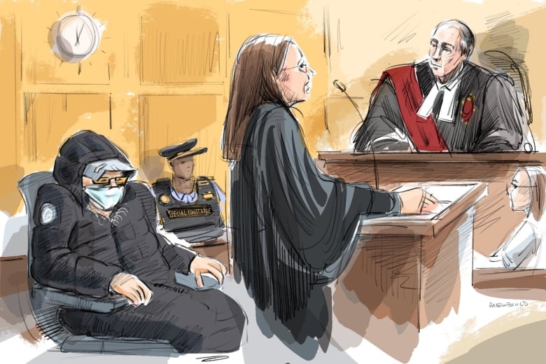 'Sexual predator' Peter Nygard sentenced to 11 years for 4 counts of sexual assault | CBC News