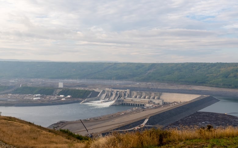 Small town on hook for $5M after B.C. Hydro's Site C construction impacts water quality | CBC News
