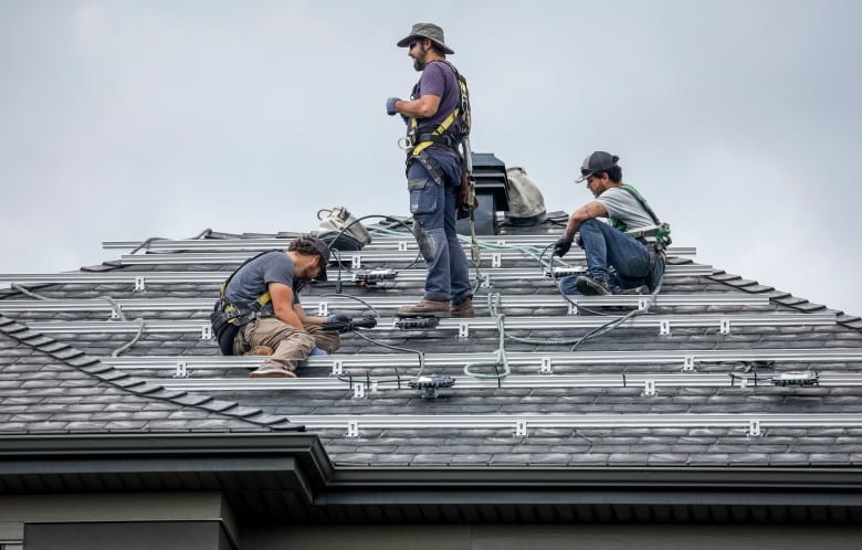 Solar panels lead to insurance headaches for some Canadians | CBC News