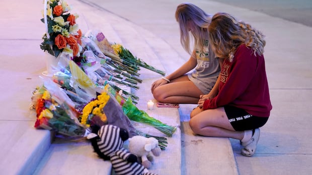Teen suspect in deadly U.S. school shooting had been interviewed by FBI last year | CBC News