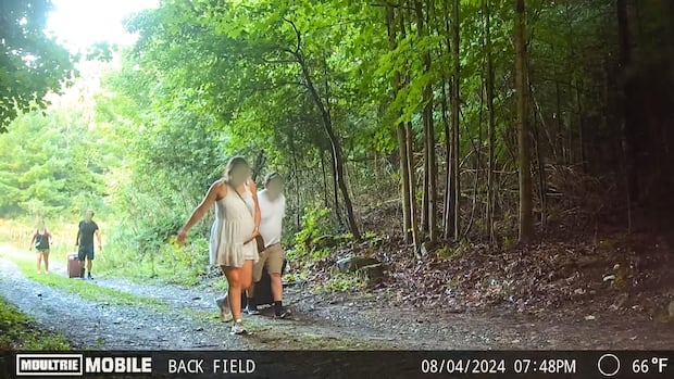 This New York farmer is overwhelmed by illegal crossings from Canada, caught on camera | CBC News
