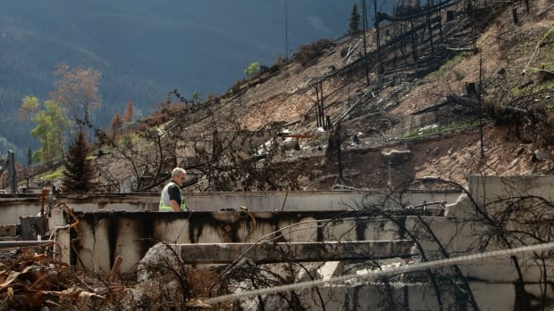 Alberta government asks Ottawa to reimburse province for Jasper wildfire recovery costs | CBC News