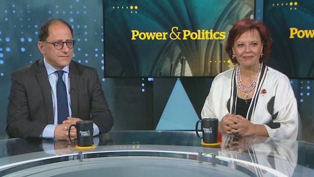 Attempts to put Trudeau leadership question to rest only making caucus tensions worse, MP says