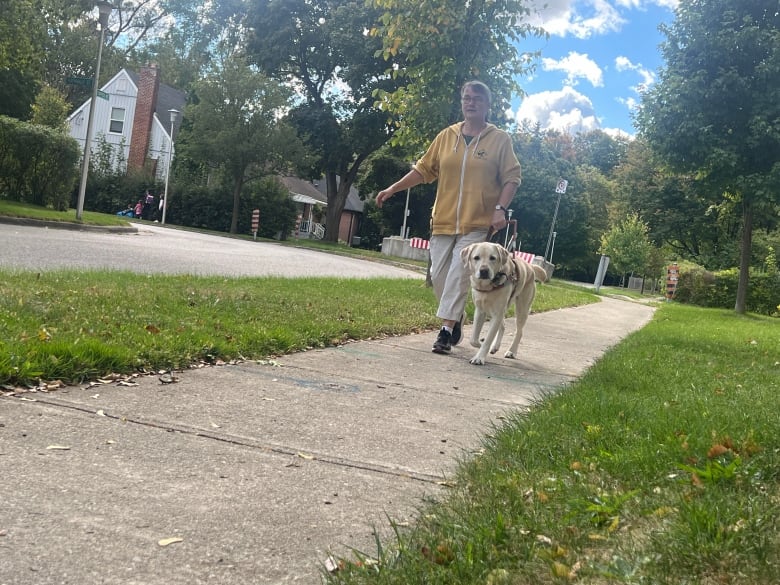 Guide dog owner says Louie may be her last unless behaviour of 'service dogs' changes | CBC News