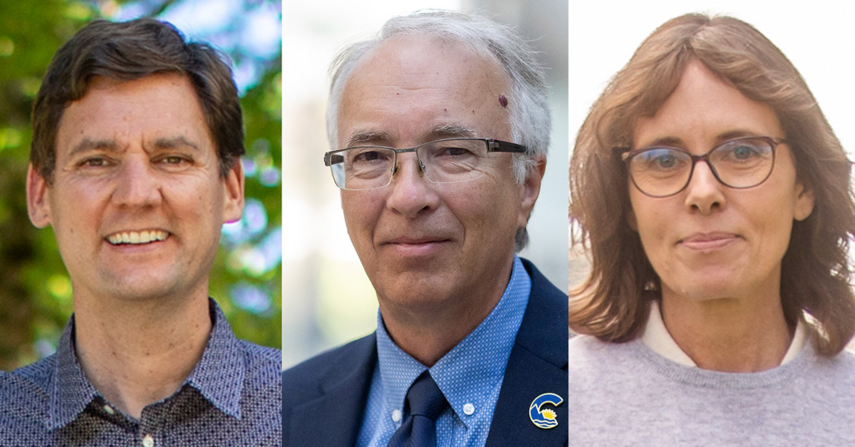 How do British Columbia's three main parties compare on these election issues?