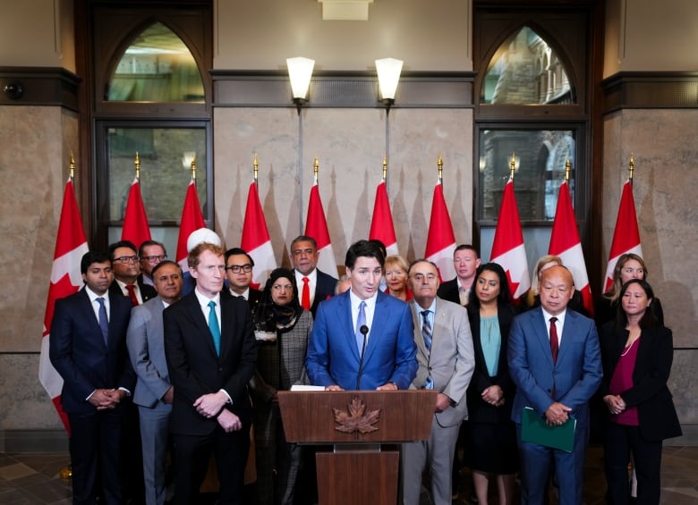 New immigration plan aims to stabilize population growth, housing market: minister