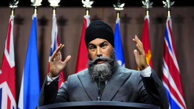 Public safety committee calls for emergency meeting on RCMP allegations against India | CBC News
