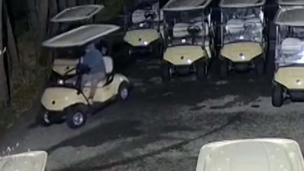 Thieves were stealing golf carts around Ontario. Now police have made a bust | CBC News