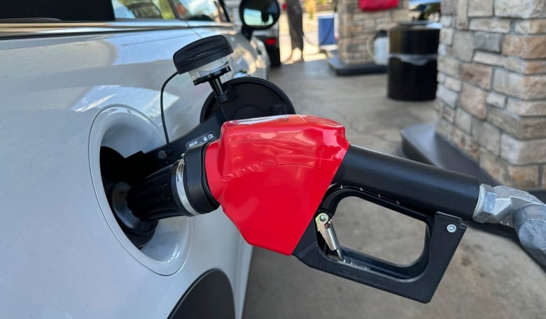 U.S. inflation reaches lowest point since February 2021, but price pressures persist | CBC News
