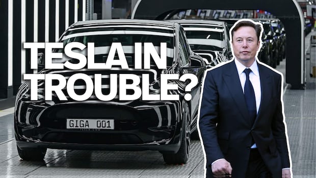 U.S. regulator investigating Tesla's self-driving software after fatal crash | CBC News