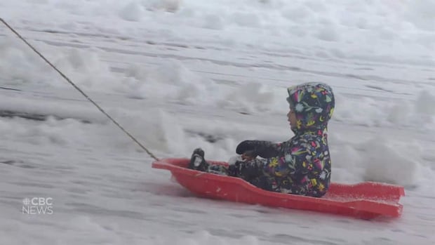A 12-year-old Colorado girl is on a mission to bring back snow days