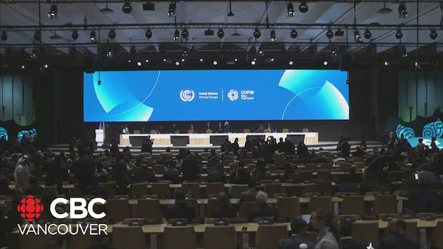 COP29 agrees on $300B-a-year deal for developing countries to curb, adapt to climate change