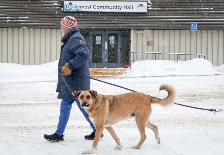 Crowsnest Pass voted for coal â other Alberta communities don't all share the enthusiasm