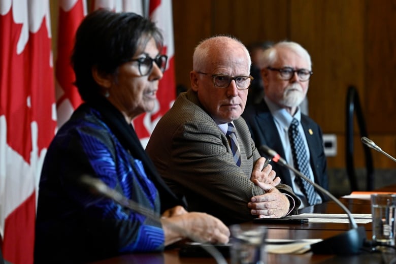 Former diplomat says it's not clear whether Ottawa asked Sudan to detain Canadian citizen