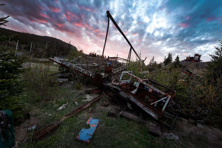 In the market for the bat-ridden ruins of a former Newfoundland amusement park? Check out the price