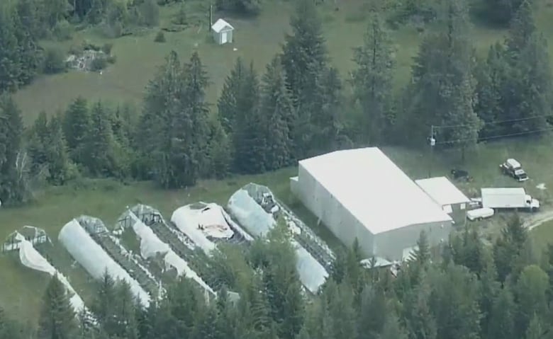 RCMP say they have busted 'the largest, most sophisticated drug superlab in Canada'