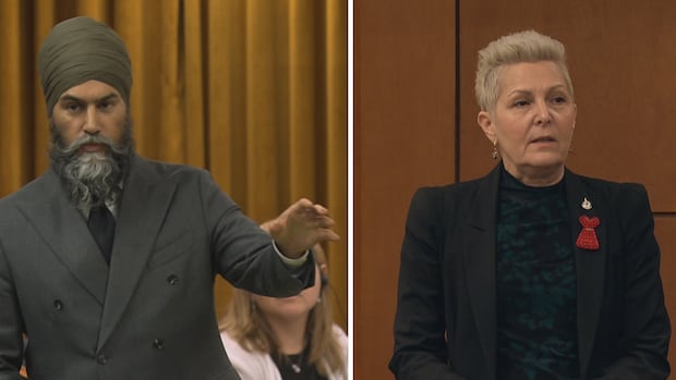 Singh calls on Ottawa to extend $250 rebate to cover seniors, vulnerable Canadians
