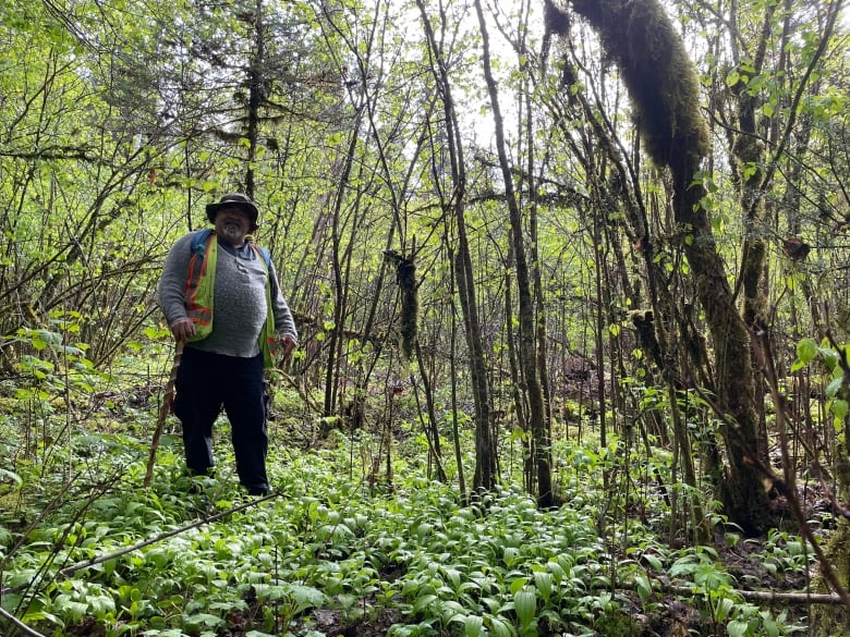 Study finds Indigenous people cultivated hazelnuts 7,000 years ago, challenging modern assumptions