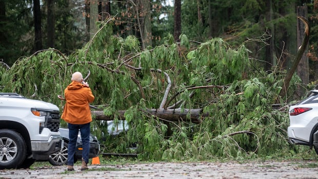 Tens of thousands without power, ferries cancelled after 'bomb cyclone' batters B.C. coast
