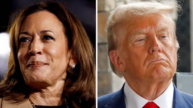 U.S. citizens in Canada should vote electronically if they can, Democrat group warns