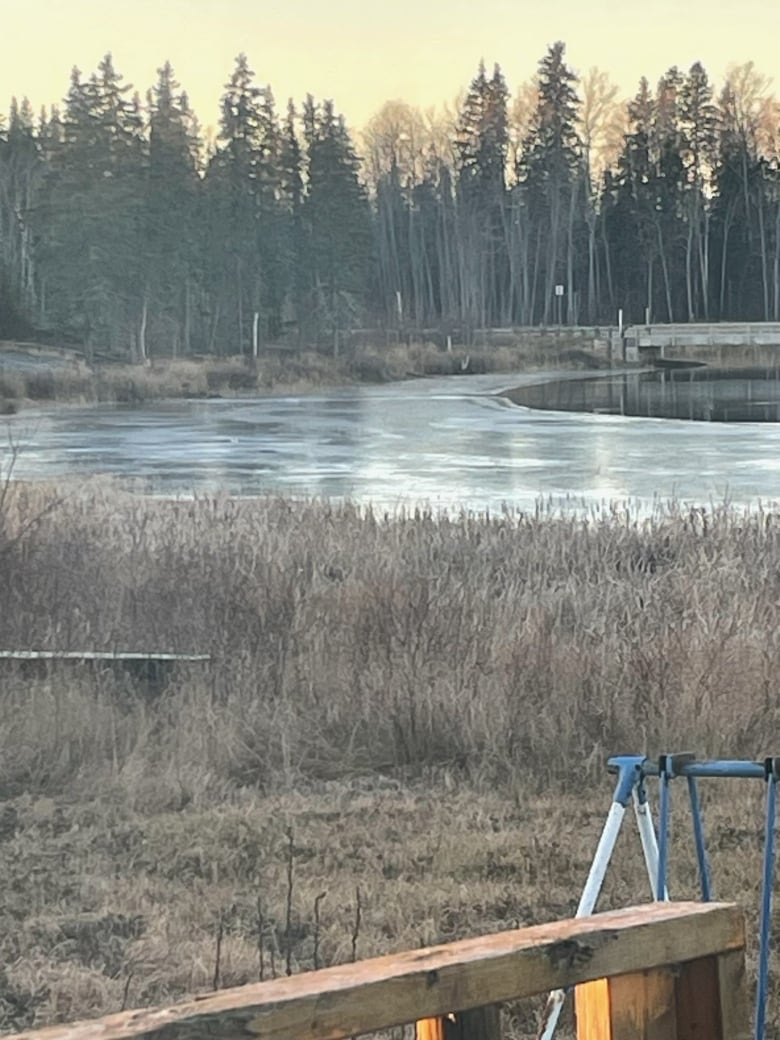 'Water to my neck': Woman saves boy who fell through ice in northern Sask.