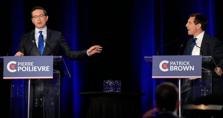 Agents of Indian government interfered in Patrick Brown's Tory leadership campaign: sources