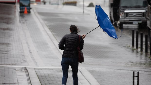 B.C. Ferries cancels some Christmas Day sailings with storm set to strike coast