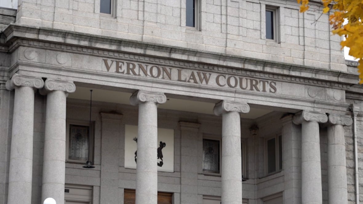 B.C. woman wins $740K in civil suit over botched renovation that left her home 'gutted'