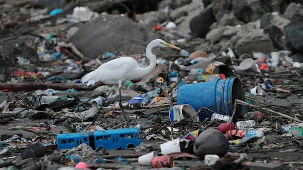 Black plastics may contain toxic compounds that can leach into food, experts say