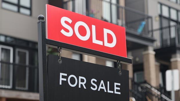 Canadian annual home sales surged in November, with prices rising as interest rates fall