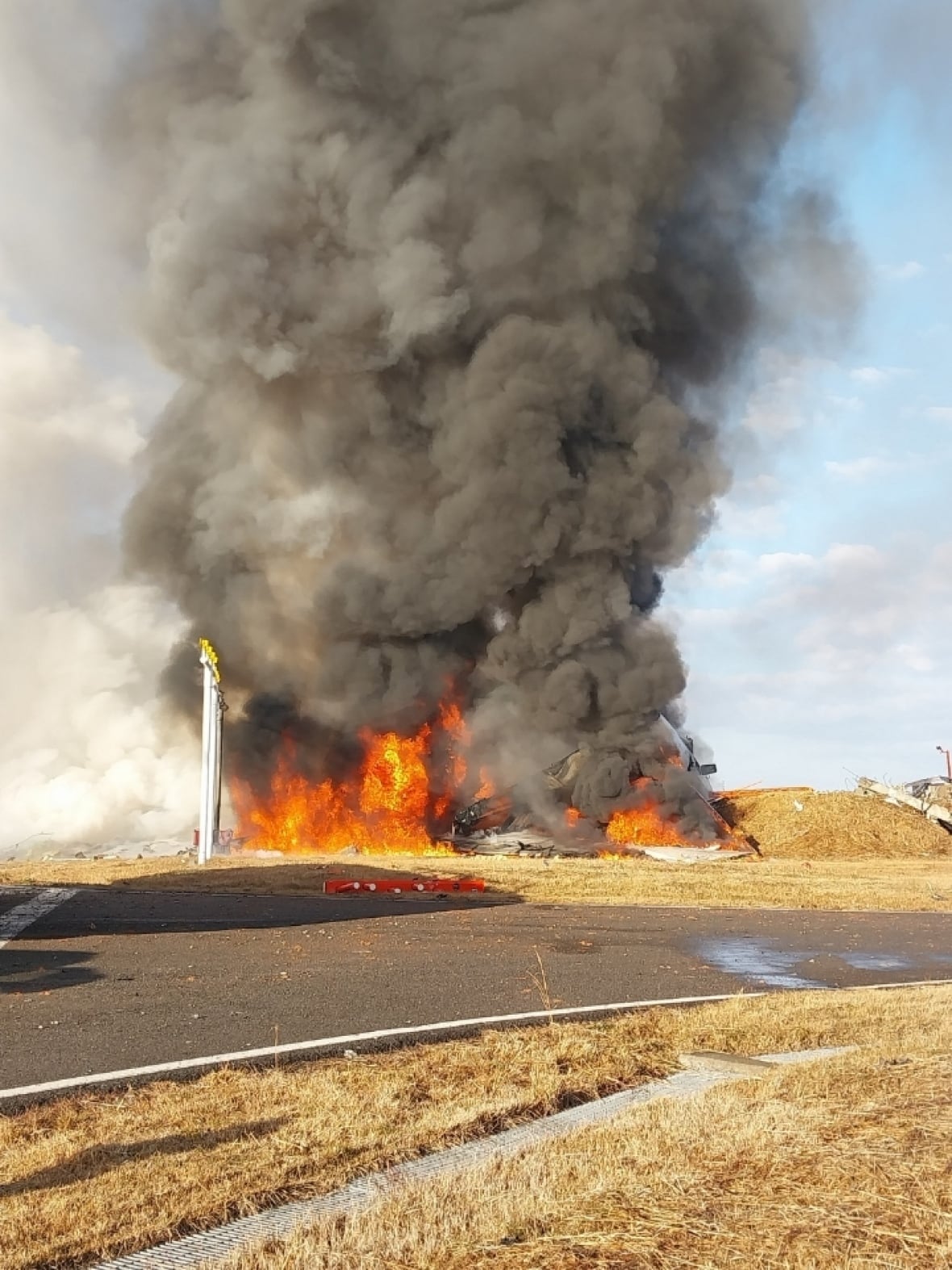 Dozens killed in South Korea after plane veers off runway, bursts into flames