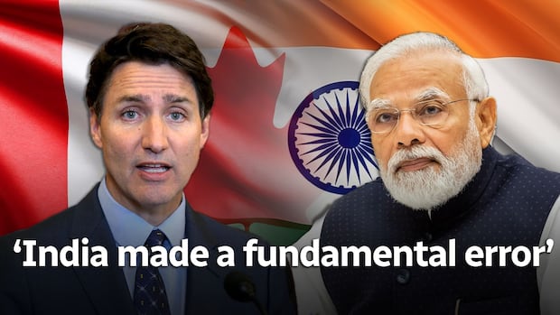 Former Conservative leadership candidate Patrick Brown to testify on Indian interference allegations