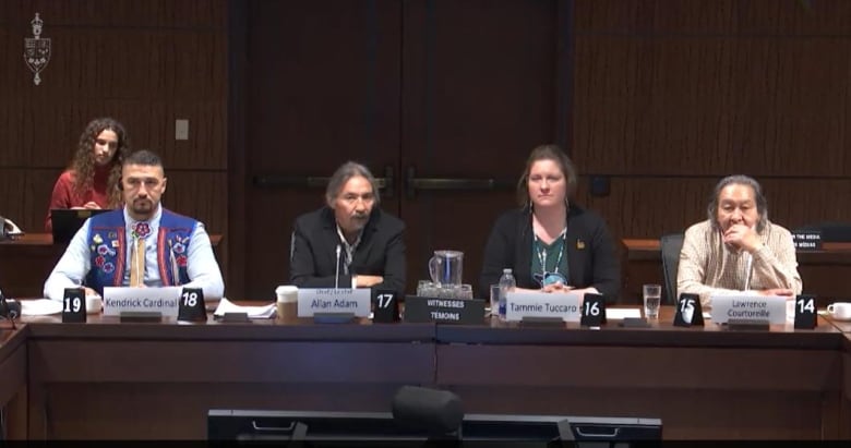 Fort Chipewyan, Alta., leaders decry Transport Canada for contamination at local dock they say was kept secret