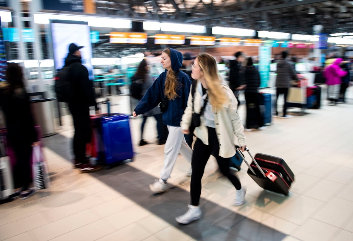 MPs question airline CEOs on carry-on baggage fees