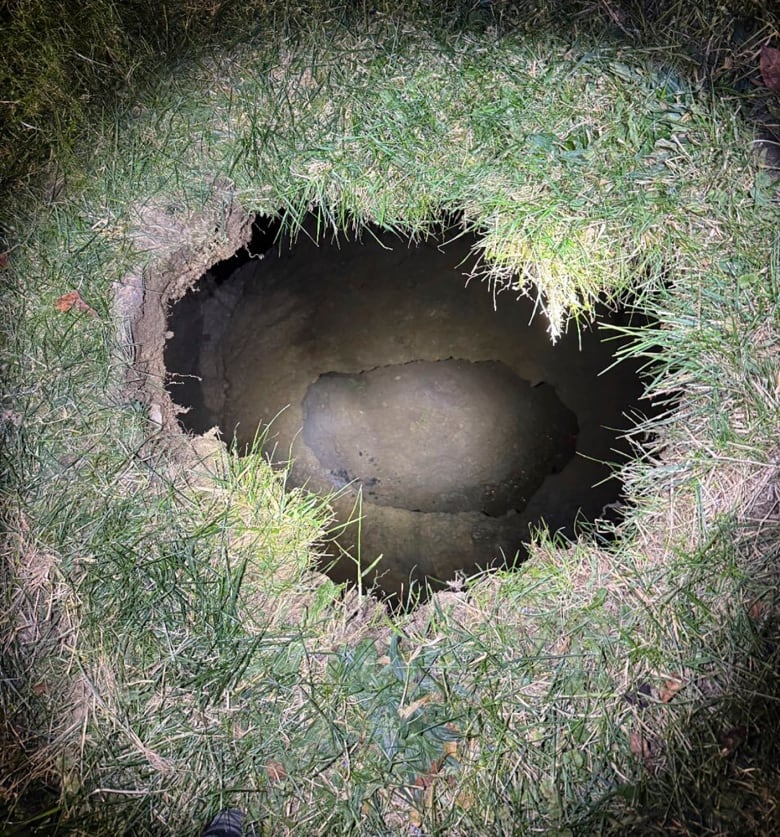 Pennsylvania grandmother looking for cat is believed to have fallen into 9-metre deep sinkhole