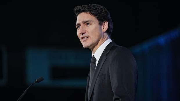 The Conservatives have a plan to bring down the Liberal government. Will it work?