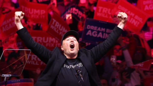 Trump backs Musk in MAGA-world rift over visa program for skilled workers